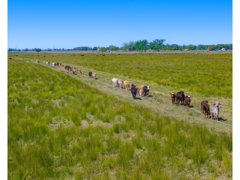 Lot 230, 83 Sutherlands Lane, Bellimbopinni NSW 2440