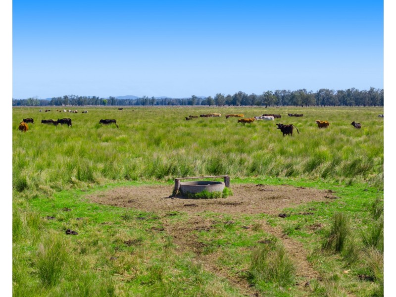 Lot 230, 83 Sutherlands Lane, Bellimbopinni NSW 2440