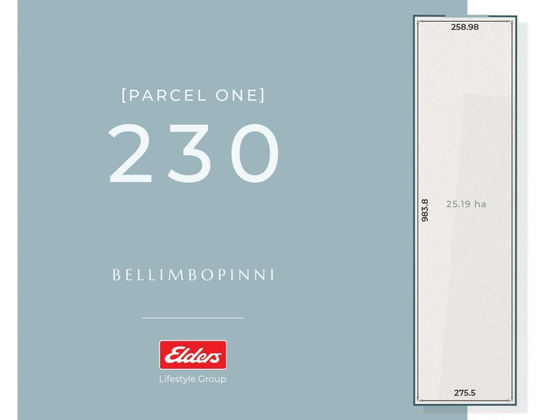 Lot 230, 83 Sutherlands Lane, Bellimbopinni NSW 2440