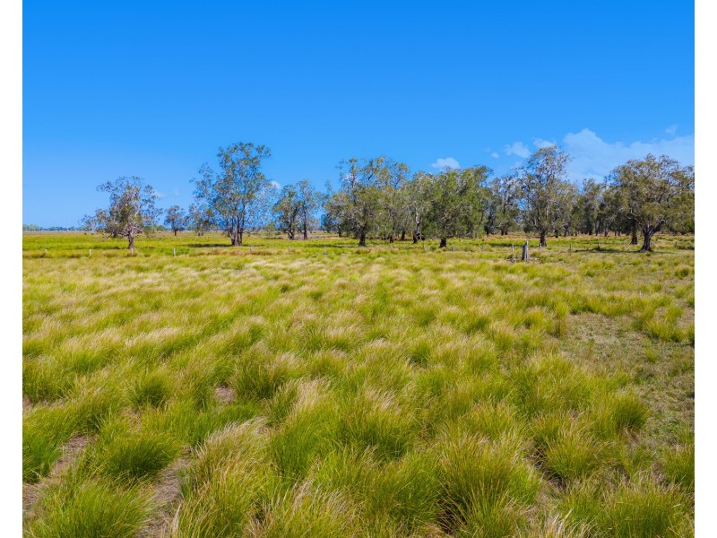 Lot 232, 83 Sutherlands Lane, Bellimbopinni NSW 2440