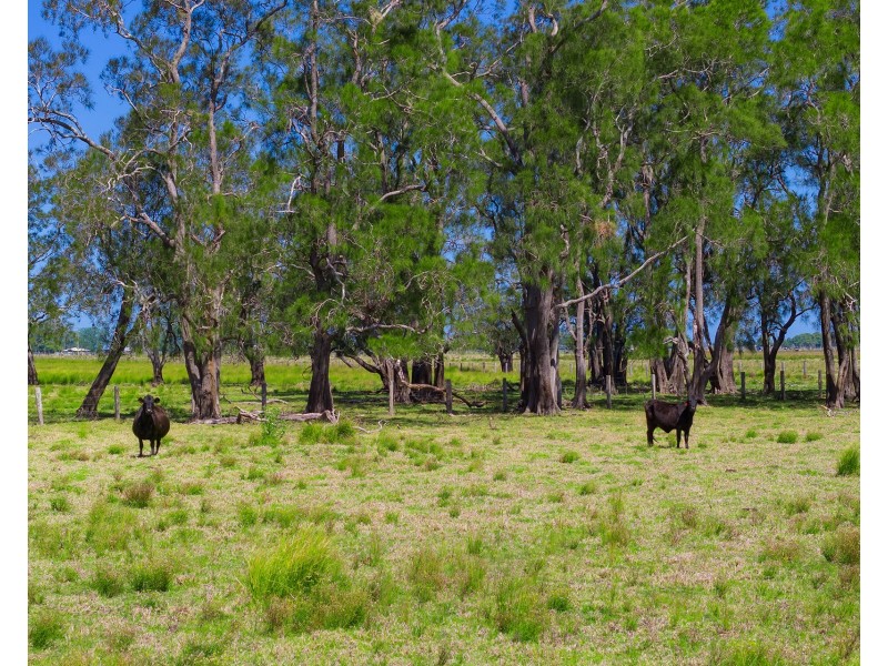 Lot 132 and 23, 83 Sutherlands Lane, Bellimbopinni NSW 2440