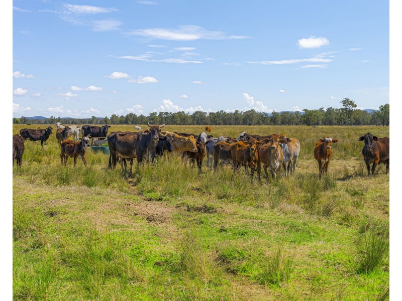 Lot 132 and 23, 83 Sutherlands Lane, Bellimbopinni NSW 2440