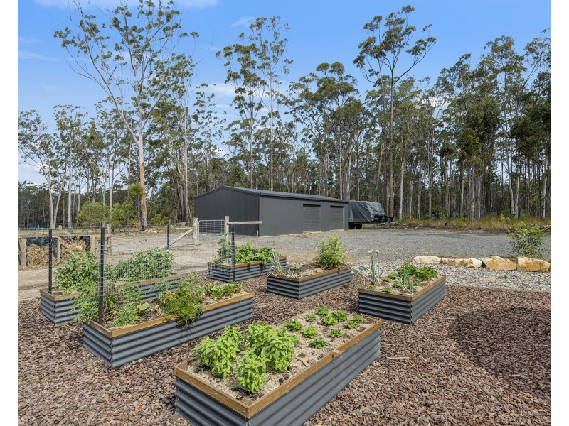 109 Harold Circuit, Verges Creek NSW 2440