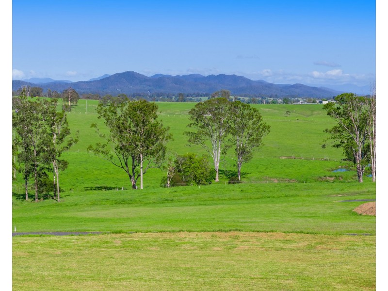 17 Massie Place, Dondingalong NSW 2440