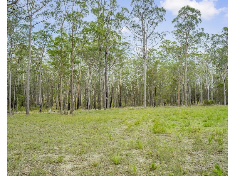 Lot 1, 107 Settlers Way, South Kempsey NSW 2440