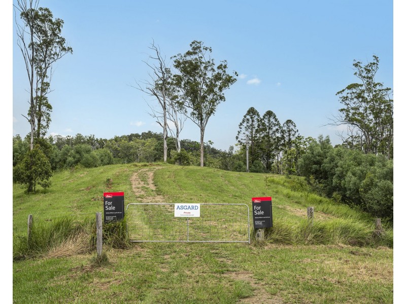 297 Fifes Creek Road, Willi Willi NSW 2440