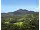 297 Fifes Creek Road, Willi Willi NSW 2440