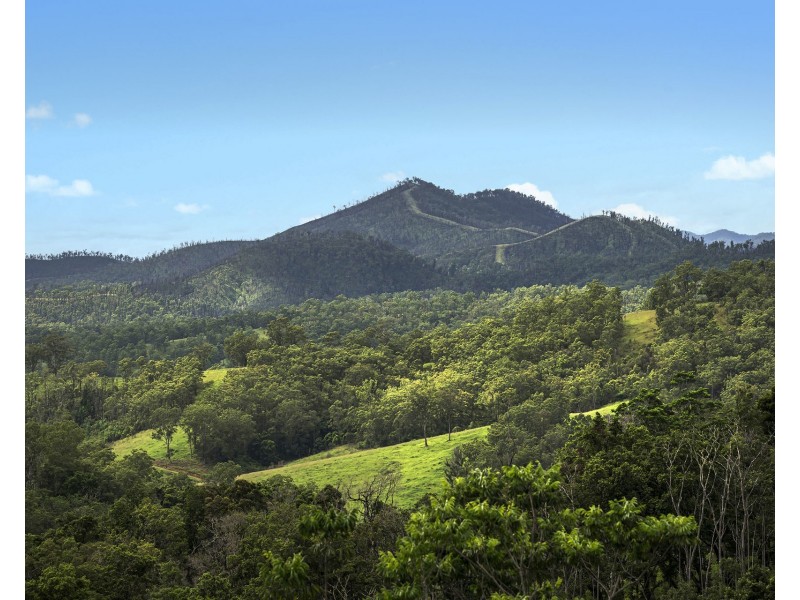 297 Fifes Creek Road, Willi Willi NSW 2440