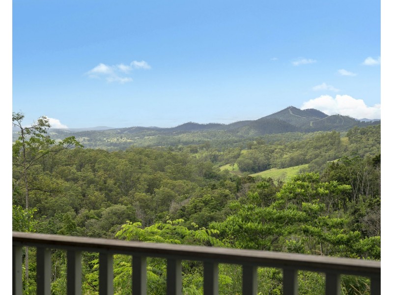 297 Fifes Creek Road, Willi Willi NSW 2440