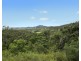 297 Fifes Creek Road, Willi Willi NSW 2440