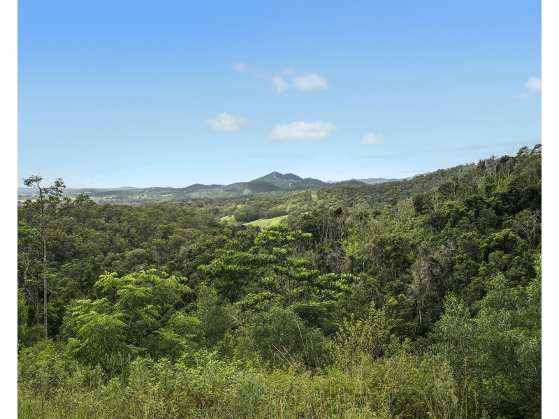 297 Fifes Creek Road, Willi Willi NSW 2440