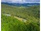 297 Fifes Creek Road, Willi Willi NSW 2440