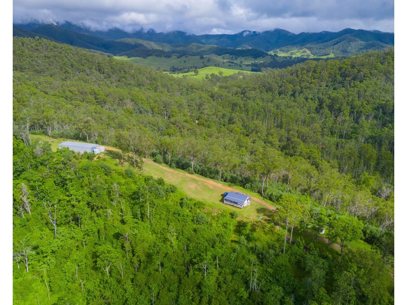297 Fifes Creek Road, Willi Willi NSW 2440