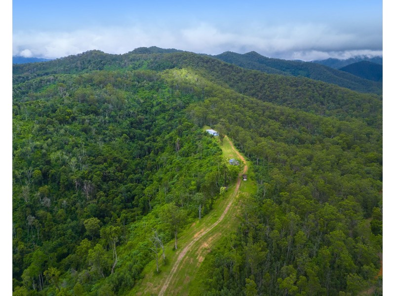 297 Fifes Creek Road, Willi Willi NSW 2440