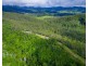 297 Fifes Creek Road, Willi Willi NSW 2440