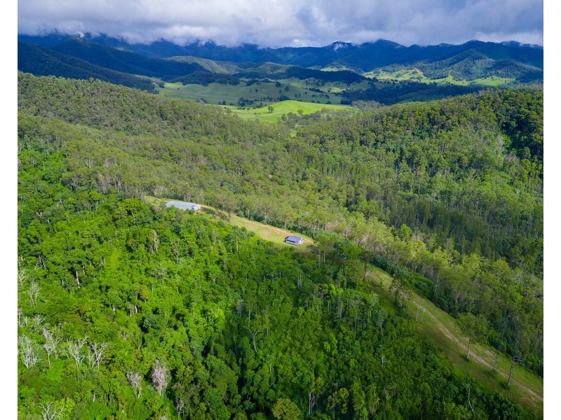 297 Fifes Creek Road, Willi Willi NSW 2440
