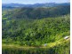 297 Fifes Creek Road, Willi Willi NSW 2440