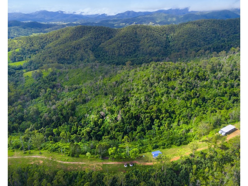 297 Fifes Creek Road, Willi Willi NSW 2440
