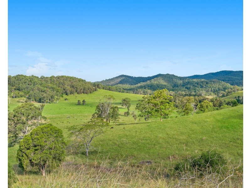 310 Yessabah Road, Yessabah NSW 2440