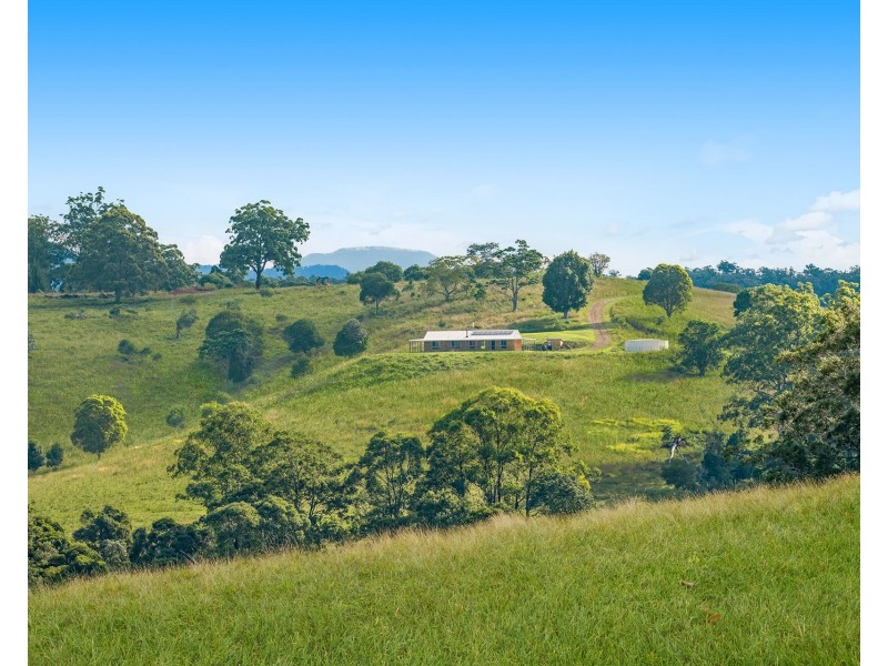 310 Yessabah Road, Yessabah NSW 2440