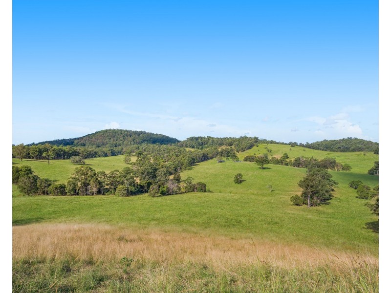 310 Yessabah Road, Yessabah NSW 2440