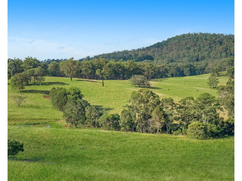 310 Yessabah Road, Yessabah NSW 2440