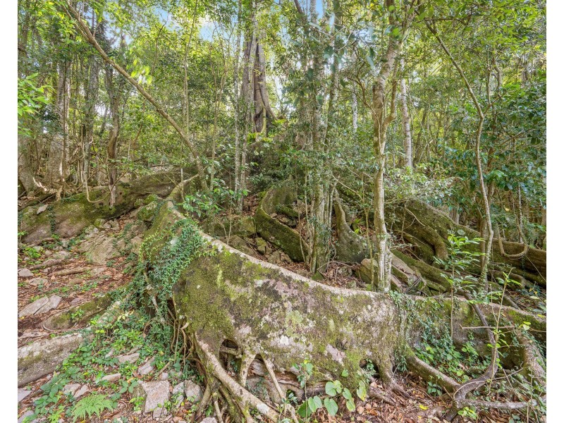 310 Yessabah Road, Yessabah NSW 2440