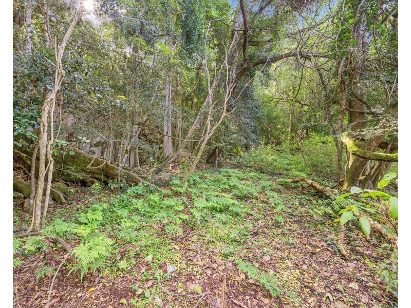 310 Yessabah Road, Yessabah NSW 2440