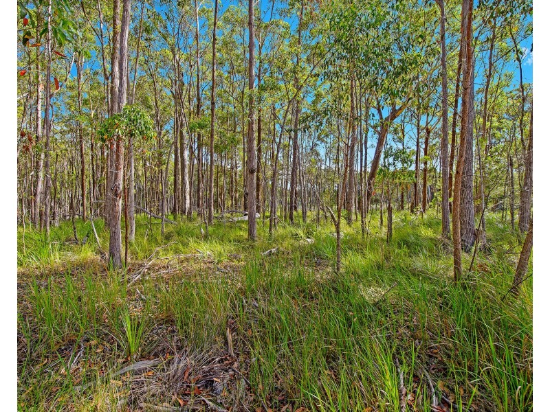 110 Harold Circuit, Verges Creek NSW 2440