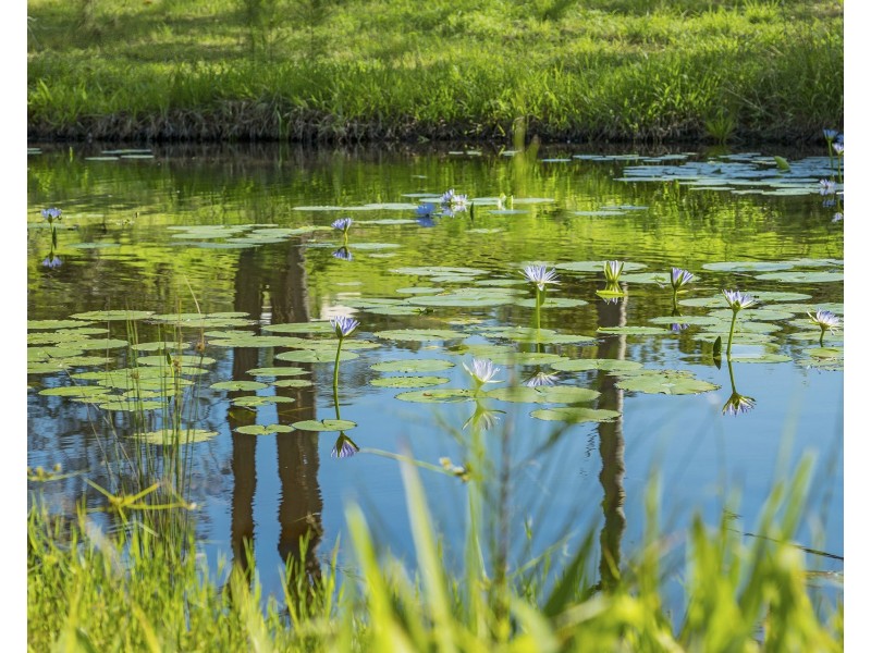 43 Francis Conn Place, Frederickton NSW 2440