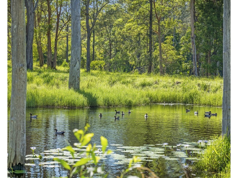 43 Francis Conn Place, Frederickton NSW 2440