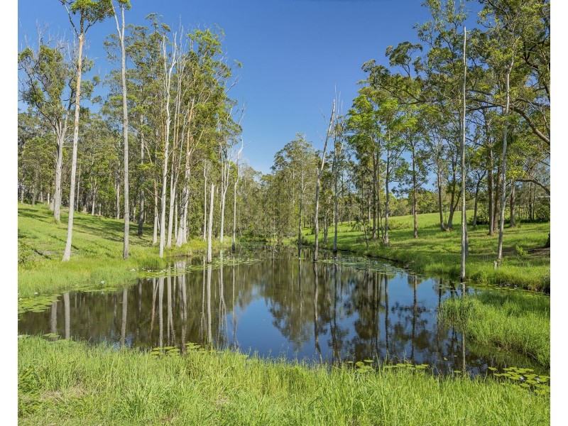 43 Francis Conn Place, Frederickton NSW 2440