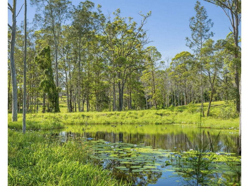 43 Francis Conn Place, Frederickton NSW 2440