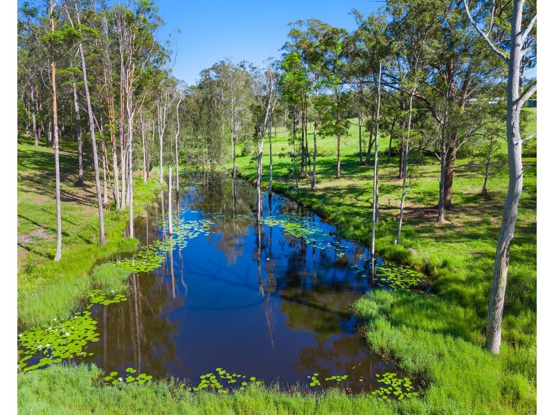 43 Francis Conn Place, Frederickton NSW 2440