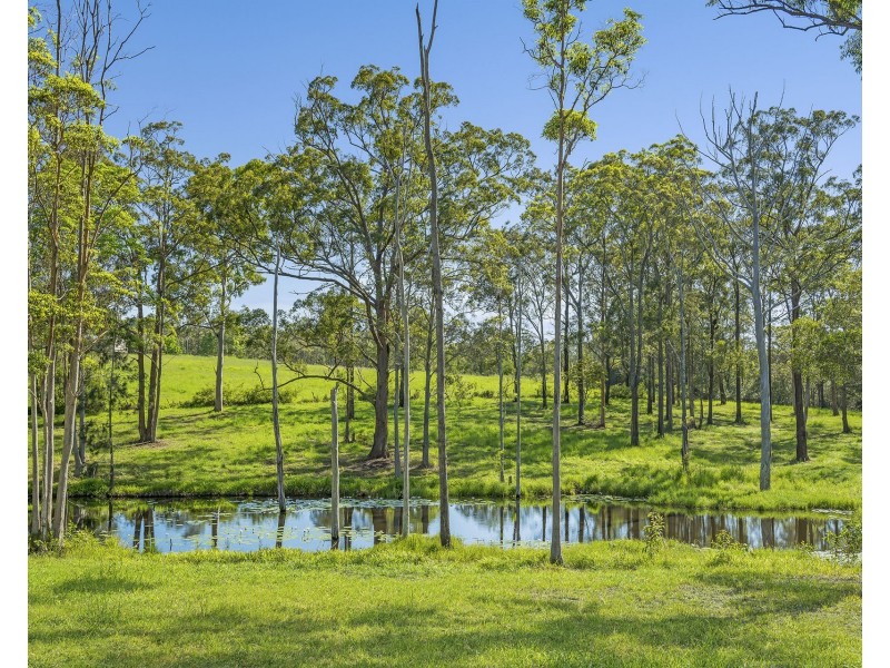 43 Francis Conn Place, Frederickton NSW 2440