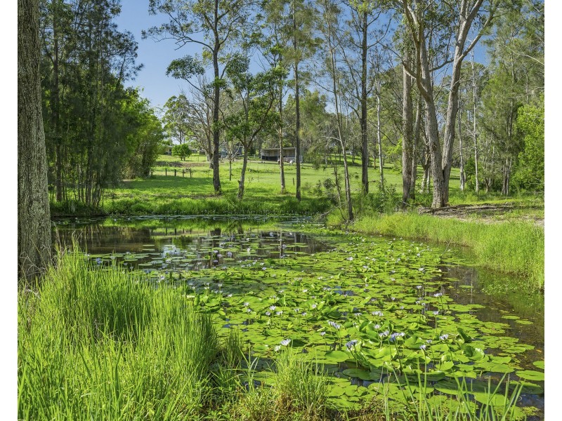 45 Francis Conn Place, Frederickton NSW 2440