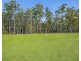 161 Harold Circuit, Verges Creek NSW 2440