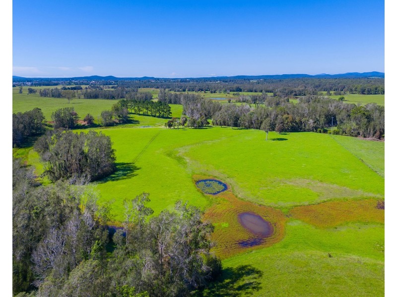 361 Saleyards Road, Collombatti NSW 2440