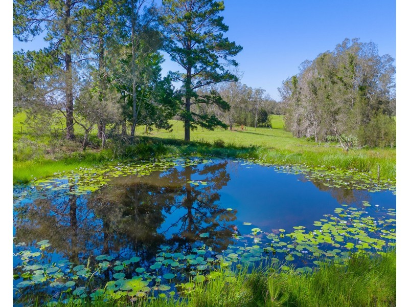 361 Saleyards Road, Collombatti NSW 2440