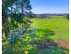 361 Saleyards Road, Collombatti NSW 2440