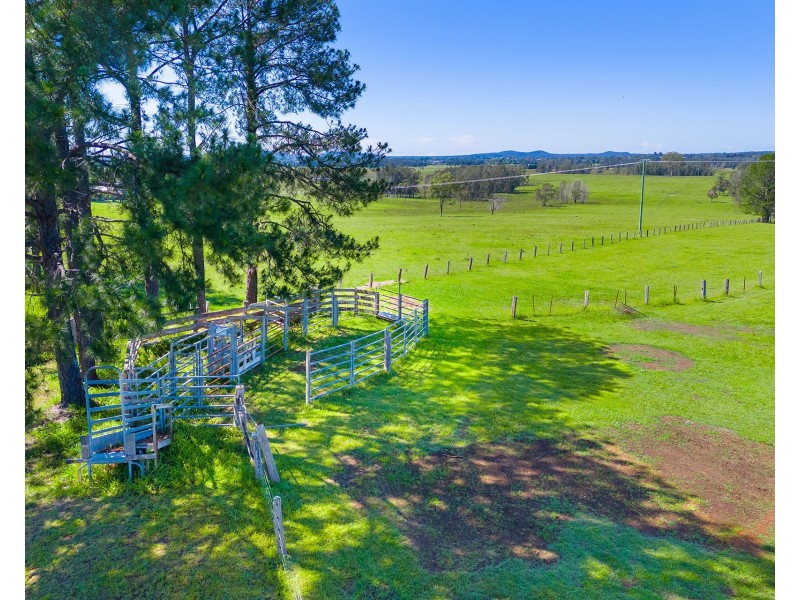 361 Saleyards Road, Collombatti NSW 2440