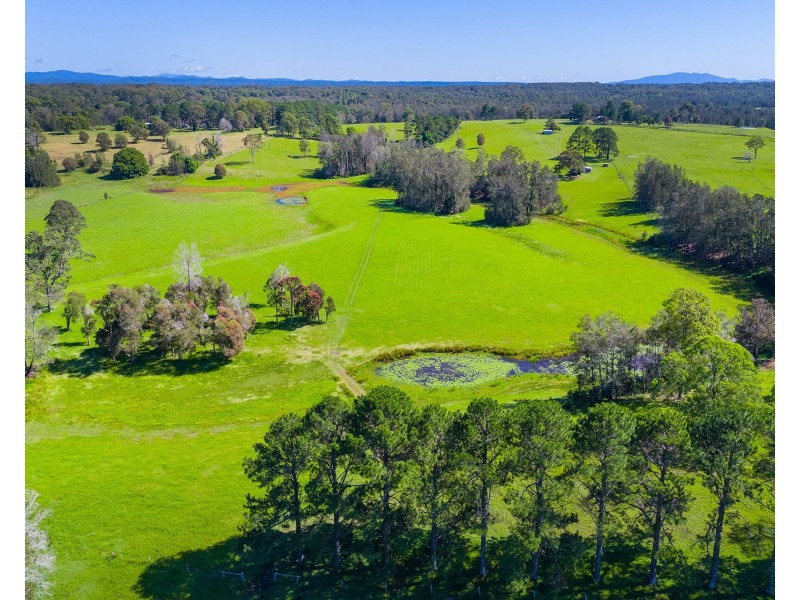 361 Saleyards Road, Collombatti NSW 2440