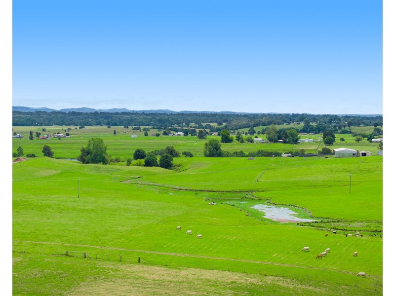 42 Massie Place, Dondingalong NSW 2440