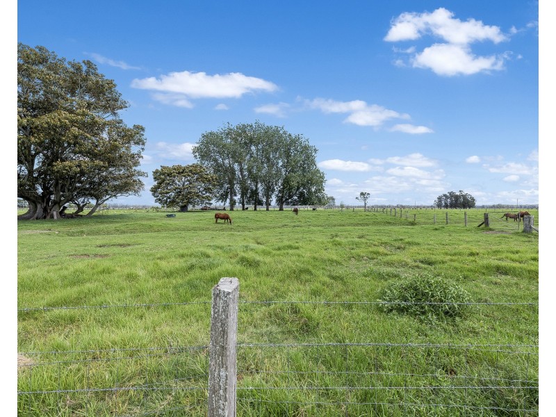 83 Sutherlands Lane, Bellimbopinni NSW 2440