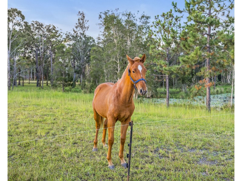 34B Yabsleys Lane, South Kempsey NSW 2440