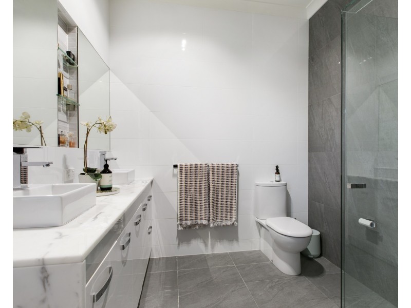 65 Park Avenue, Clayfield QLD 4011