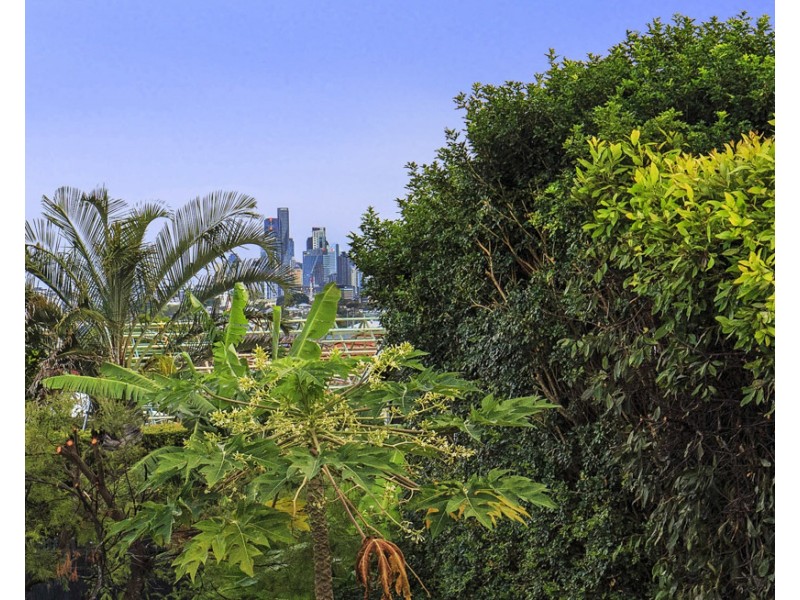 20 Christian Street, Clayfield QLD 4011