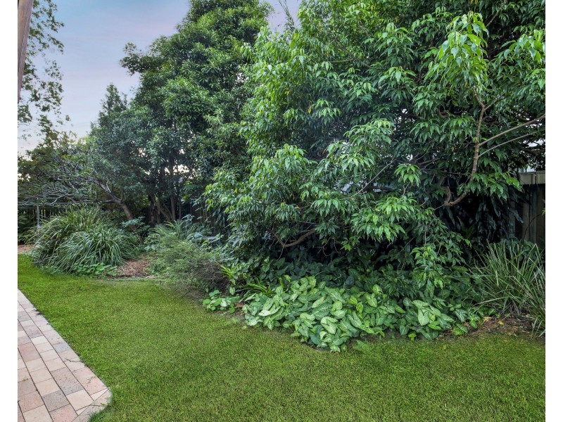 22 Milne Street, Clayfield QLD 4011