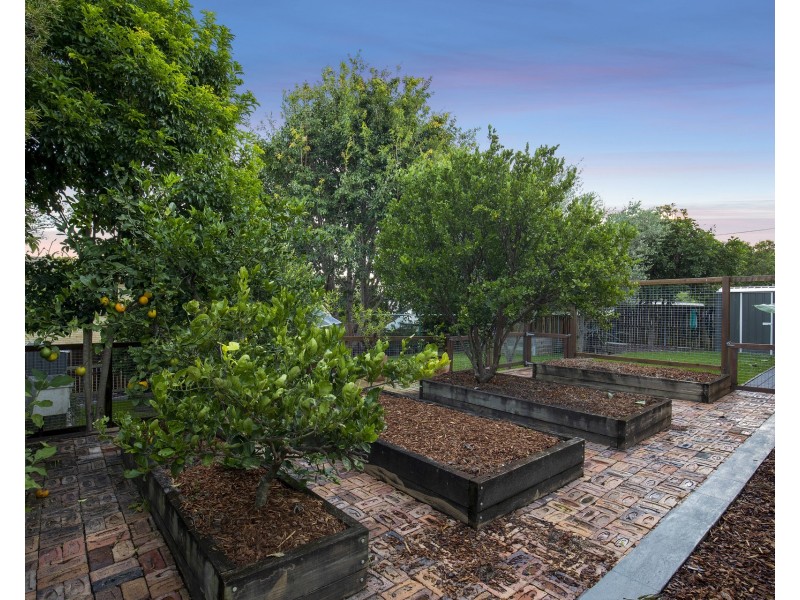 24 Oxenham Street, Nundah QLD 4012