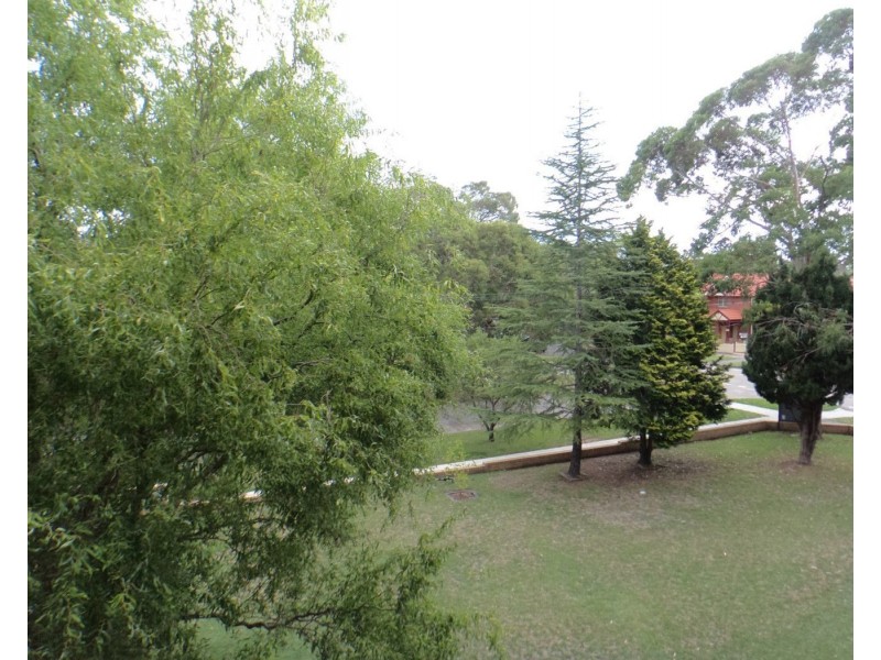 11/139 Sydney Street, Willoughby NSW 2068